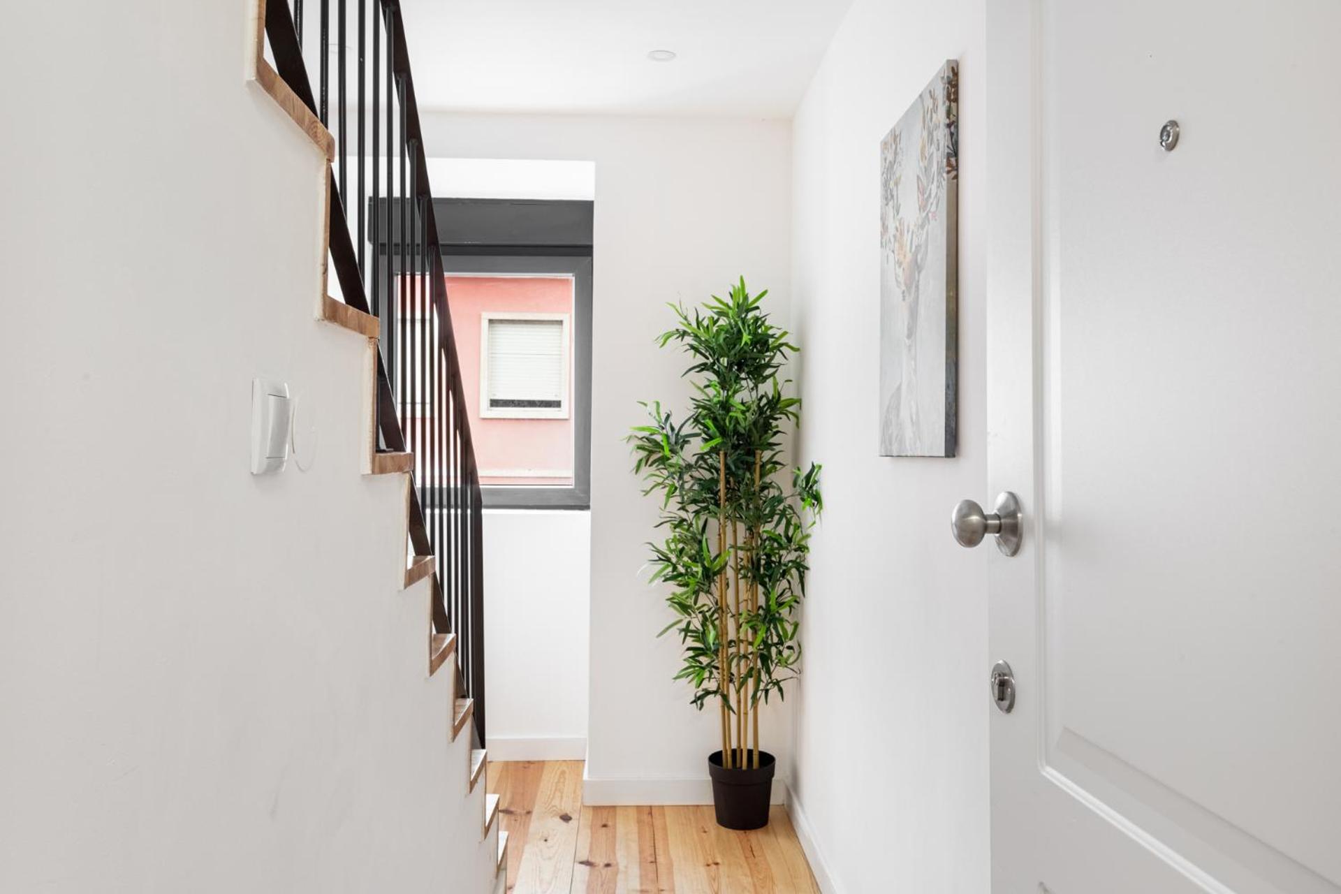 Lapa Duplex Apartment 리스본 외부 사진